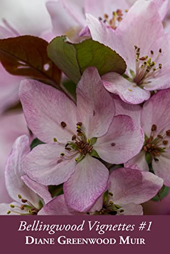 Bellingwood Vignettes Collection #1