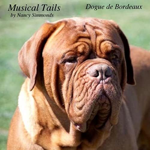 Dogue de Bordeaux