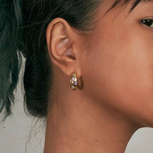 Free bird Huggie Earrings for Women Colorful Earrings for Women Multi-Colored Cubic Zirconia2