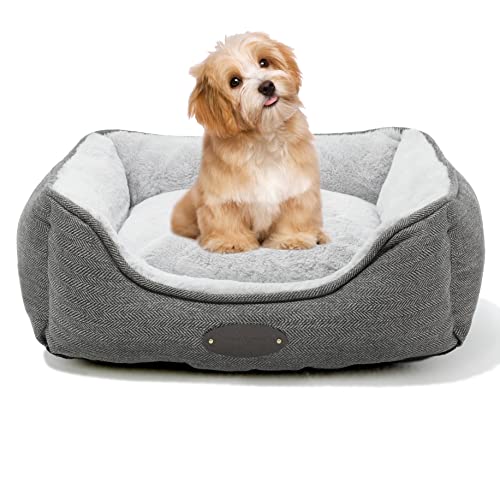 The 30 Best Square Dog Beds of 2023 [Verified] Cherry Picks