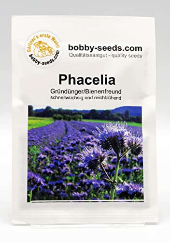 Bodenkur Phacelia Bienenfreund - einjährige Gründüngung und Bienenweide Portion