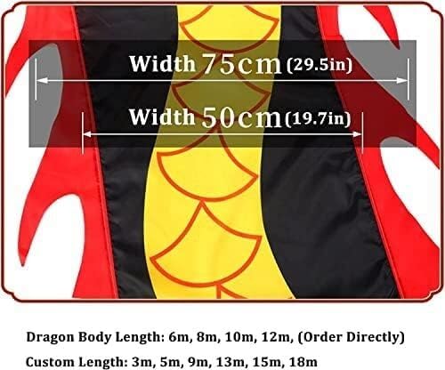 Dragon Ribbon Streamer,Dragon Silk Flowy,Ribbon Streamer Double Sided Fitness Dragon Dance Ribbons Chinese Sports Ribbons Lawns Practice Streamers for Beginners Outdoor Park(B,6m/19.7ft)