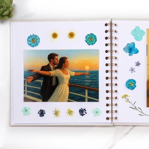 Scrapbooking lin beige 40 pages blanches avec autocollants d'angle