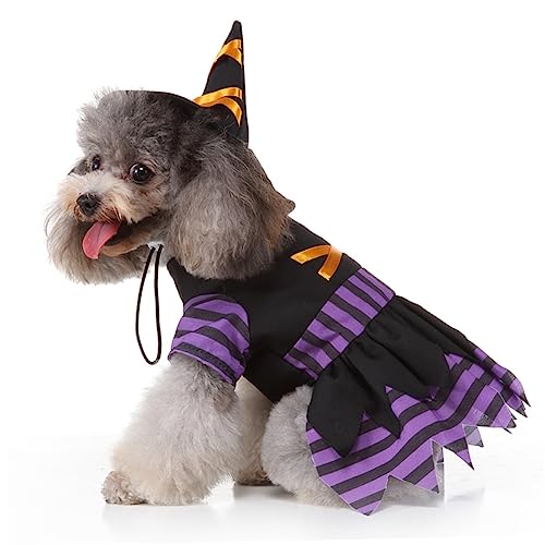 Disfraz para perro S con diseño de bruja para Halloween