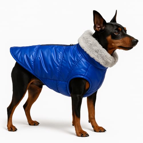 Image of The Pets Company Dog Winter Coat Jacket, Clothes, Windproof, Waterproof, Light Weight, Washable, Ultra Warm Thick Fleece Lined Dog Vest for Cold Weather Protection, (Blue, X - Small - 12 Inch)