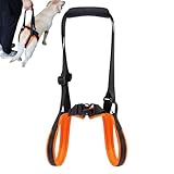 Misaakoeq Stützband für Hunde, atmungsaktive Tragegurte, Rücken- und Beine, Hüfthebegeschirr, für ältere Menschen mit Behinderungen, Verletzungen, mittelgroß, klein, für den täglichen Spaziergang