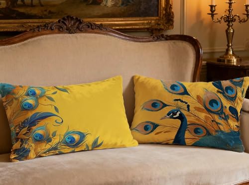 Velours de coussin orange 60x90 taie oreiller rectangulaire - 3