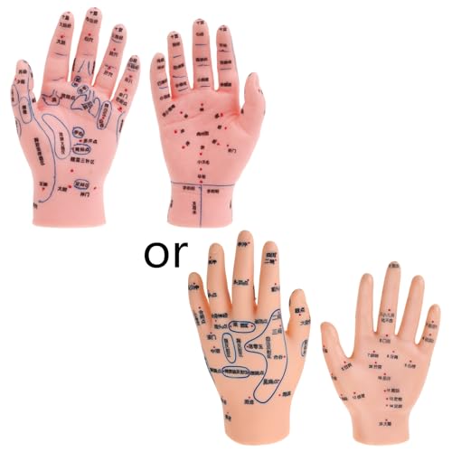 YS0911 Model Hand Foot Ear Model Human Model Human Meridians Point Chinese Medicine Massage Foot Reflexology Model