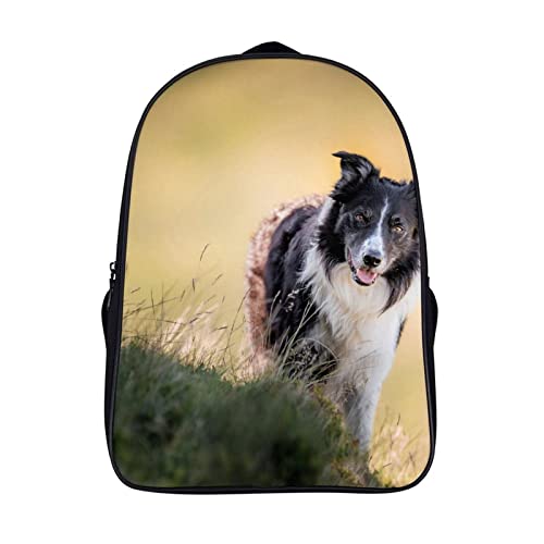 Sac d'école unisexe grand format 40cm sac à dos scolaire moderne pour adolescent