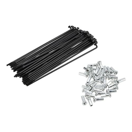 PARSKILO 38 Juego De Radios para Bicicleta 13G 123mm Radios para Rueda De Bicicleta Acero Al Carbono Negro
