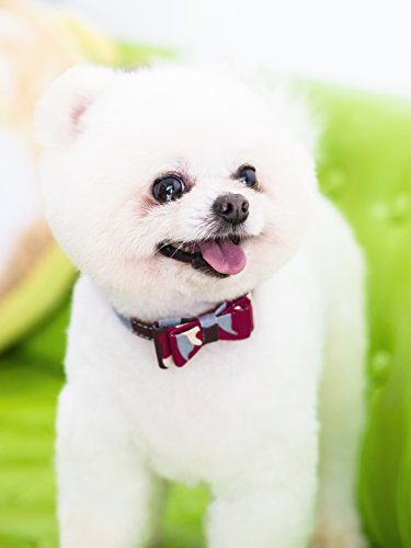 Gyapet Dog Collar Red For Small Dog Cat Bow Tie Puppy Kitten Bandana 2Pcs Pu Adjustable Scarf Cute Camo Camo-Red #TOP3