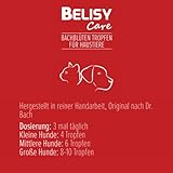 BELISY Ruhe Bachblüten Tropfen für Hunde & Katzen - Beruhigungsmittel bei Angst & Stress - Orig. Mischung nach Dr. Bach - Notfall Tropfen zur Beruhigung von Haustieren 20ml