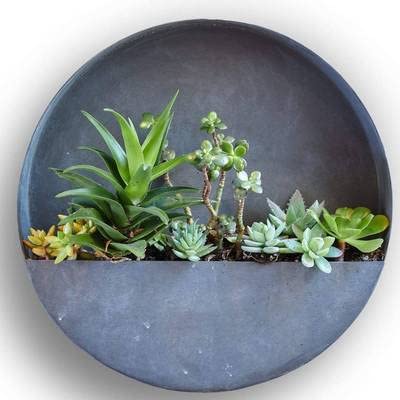 Artisan Living Artisan Living Orbea Round Wall Hanging Planters | Iron Wall Vase Decor Planters Succulents Circle Wall Planter - 20Inch Dia X 3Inch D Circle, Circle20Inchdia X 3Inchd #TOP30