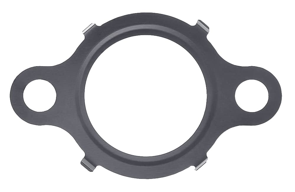 SEAL, EGR VALVE