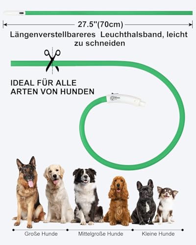Joytale Leuchthalsband Hund USB Aufladbar Hundehalsband Leuchtend für Große Mittel Kleine Hunde und Welpe, Led Halsband mit 3 Modi für Sicherheit, Grün