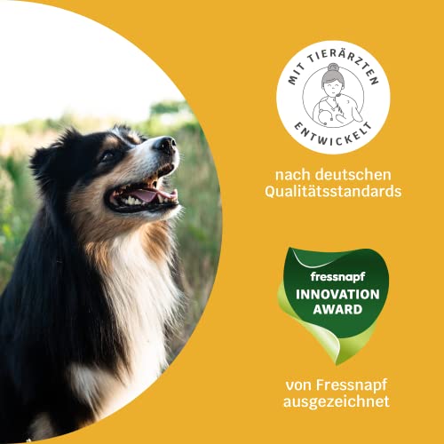 14-in-1 Immunsystem Leckerli für Hunde - Immu Push 30 Snacks (110g) von mammaly - Stärkt Abwehrkräfte mit Hagebutte, Granatapfel, Ashwagandha, Bierhefe, Zink - Reich an Antioxidantien, Vitamin A, C, K