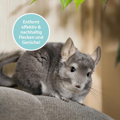 ARKA Nagerkäfig Reiniger Spray 750 ml – Biologischer Geruchs- & Fleckenentferner gegen Urin, KOT & Tiergerüche – Enzymreiniger für Kleintierkäfig & Gehege – PIPI
