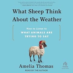 What Sheep Think About the Weather Audiolibro Por Amelia Thomas arte de portada