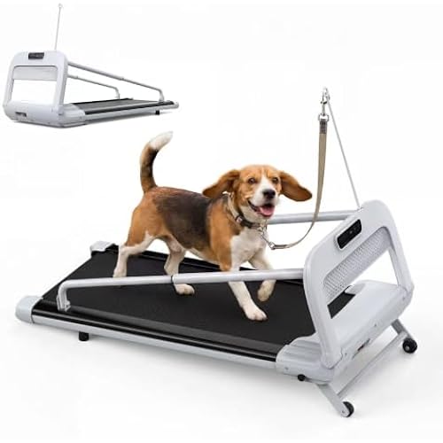 2-in-1 Dog Treadmill for Indoor Exercise, Quiet Pet Running Machine with Remote Control, 265 lbs Weihgt Capacity, Perfect Treadmills for Small to Medium Dogs and Human Walking