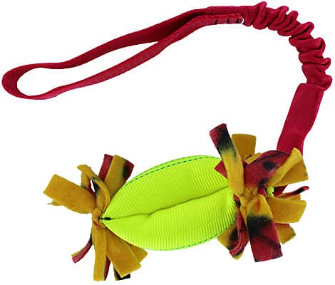 Clean Run Treat Hugger Bungee Tug