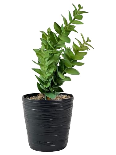 VENSA KINS Artificial Succulent Plant in Pebble-Filled Pot Lifelike Faux Greenery for Home Office Desk Tabletop Decoration Low Maintenance Indoor Plant with Realistic Leaves (Black)