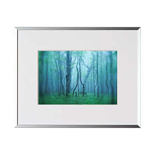 Kenko 額縁 ギャラリー 2L アクリルタイプ アルミフレーム シルバー 日本製 AGY-2L-SV