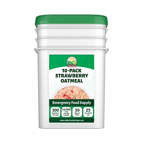 Image of Valley Food Storage Freeze Dried Strawberry Oatmeal | 10-Bag Bucket, 100 Servings | Premium Emergency Food Supply with 25 Year Shelf Life | Non-GMO Freeze Dried Breakfast & Prepper Food