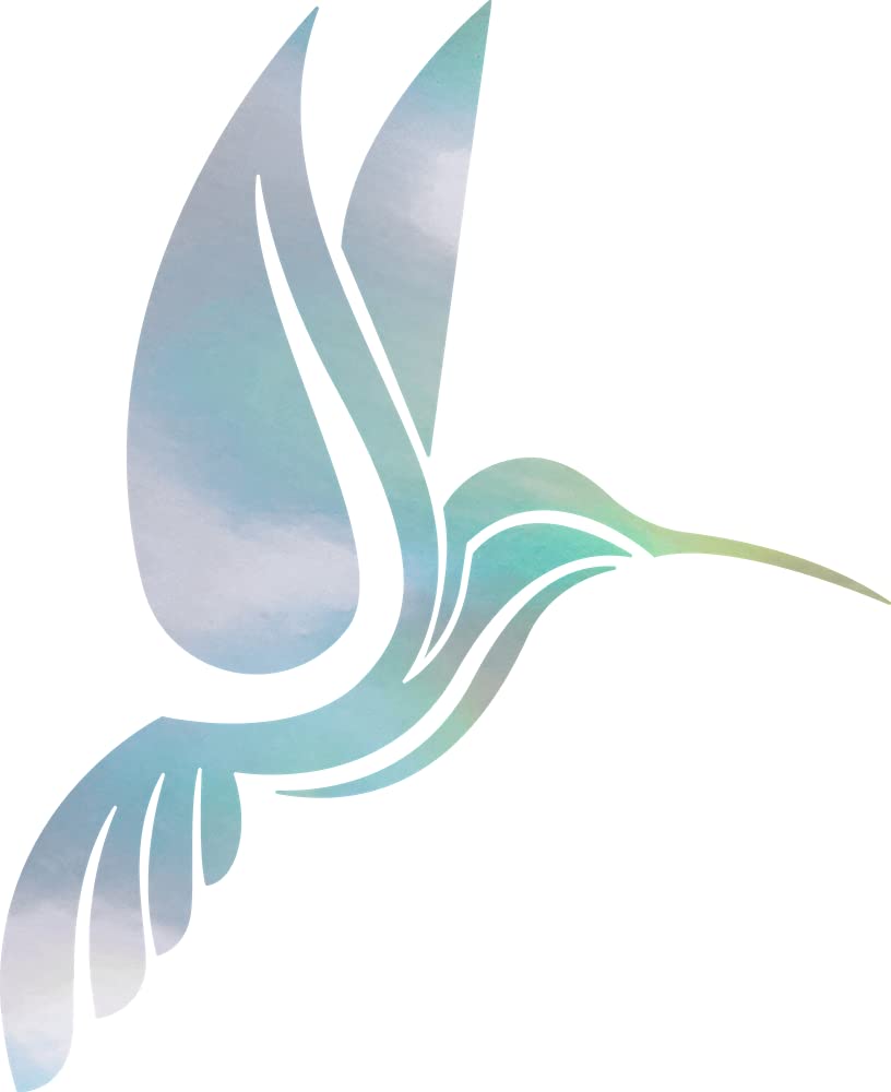 NBFU Hummingbirds Bird Fly Animal 2 (Hologram) (Set Of 2) Premium Waterproof Vinyl Decal Stickers For Laptop Phone Accessory Helmet Car Window Bumper