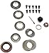 Dorman 697-101 Differential Bearing Kit Compatible with Select Ford / Lincoln / Mercury Models
