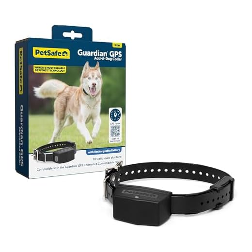 PetSafe Elite Little Dog In-Ground Fence Receiver Collar, for Dogs over 5lb, Waterproof with Tone and Static Stimulation