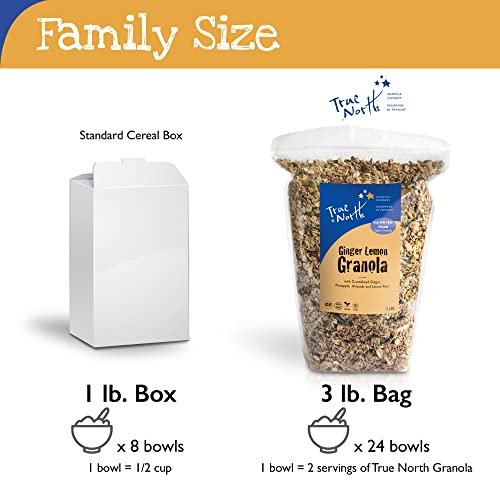 Image of True North Granola - Ginger Lemon Granola with Pineapple and Almonds, Gluten Free, Vegan, All Natural and Non-GMO, Bulk Bag 3 lb. | Pineapple And Almonds, Gluten Free, Vegan, All Natural, Non-gmo, Protein Snack, Real Ingredients, Great For On-the-go Snackin