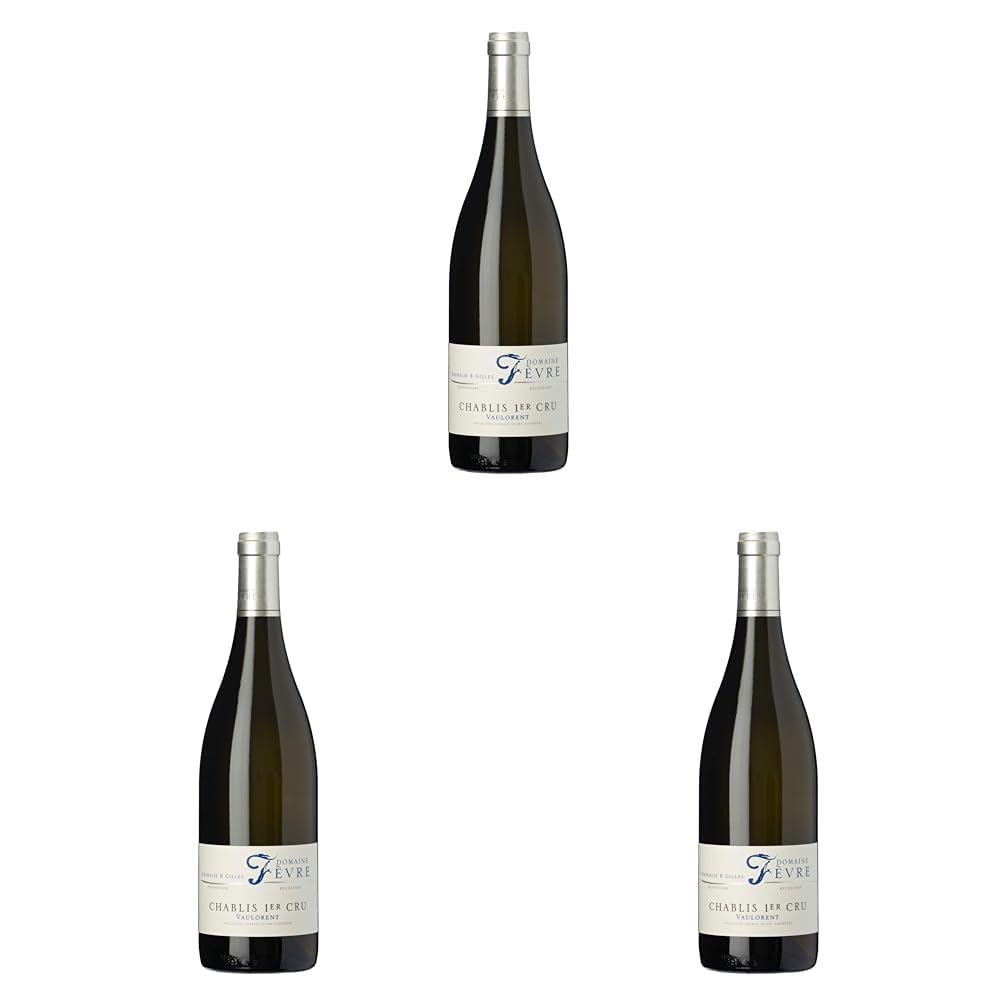 Domaine Nathalie & Gilles Fèvre Chablis Premier Cru Vaulorent, Vino Blanco, 75 cl - 750 ml (Paquete de 3)
