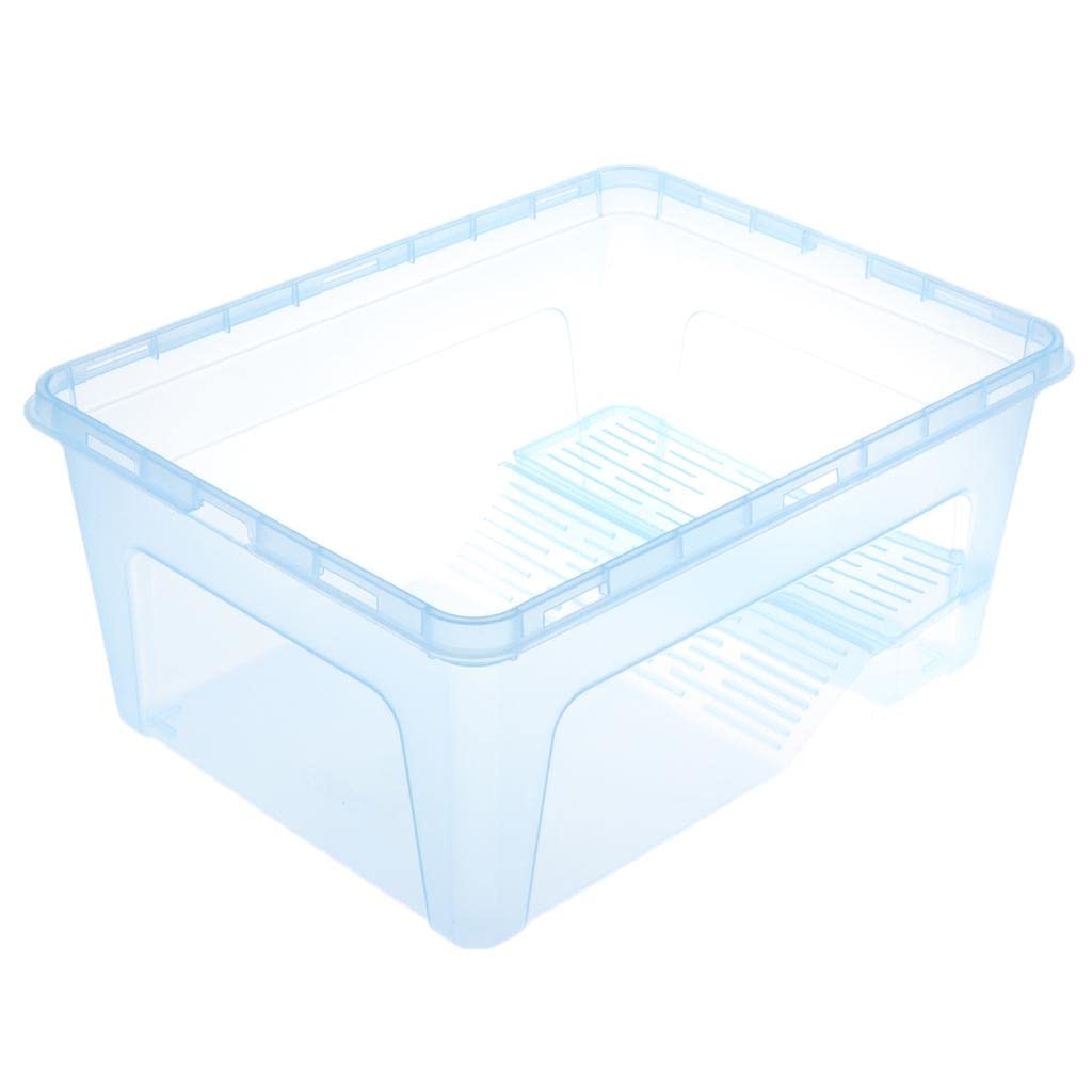 CLUB BOLLYWOOD Reptile Turtle Tank Terrarium Aquarium with Ramp Platform Transparent Blue | Pet Supplies | Reptile Supplies | Reptile Supplies | Reptile Supplies (B0CCXZFR2K) Amazon Price History, Amazon Price Tracker