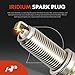 A-Premium (Blue) Set of 12 Ignition Coil Pack and Iridium Spark Plugs Compatible with Nissan V6 Series 350Z 2003-2006 & Infiniti FX35 2003-2008, G35 2003-2006, G35 2007, M35 2006-2008, 3.5L