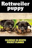 rottweiler puppy training youtube  Rottweiler Puppy: Calendar 24-Month Pocket Planner - Watercolor Effect