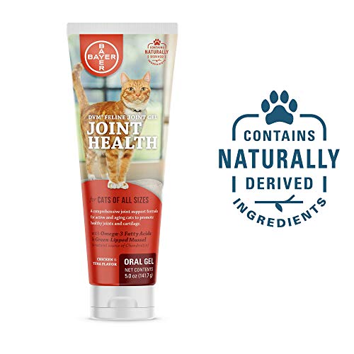 DVM Feline Joint Gel (5 oz.) DVM Feline Joint Gel (5 oz.)