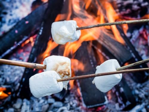 Rocky Mountain Marshmallows MEGA (0.34 kg)