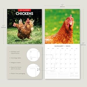 Redrobin2025chickensmonthlywallcalendar12x24openpremiumthicksturdypaperhangable12monthcalendarplasticfree4monthtransitionpagefor2024 Urban Country Home Decor Red robin 2025 chickens monthly wall calendar 12 x 24 open premium thick sturdy paper hangable 12 month calendar plastic free 4 month transition page for 2024 urban country home decor