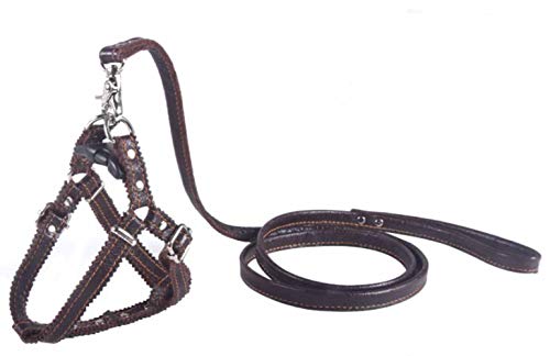 Hundegeschirr Kleine Hunde Leder Verstellbar feiling Hundegeschirr Welpen Brustgeschirr Haustier Ausbruchsicher Katzengeschirr Ledergeschirr Weichem mit 1.3m Hundeleine Leder (Braun)
