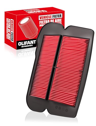 Air Filter for Honda Goldwing 1500 GL1500/GL1500SE/GL1500i INTERSTATE/GL1500A ASPENCADE 17205-MN5-003 (Standard)