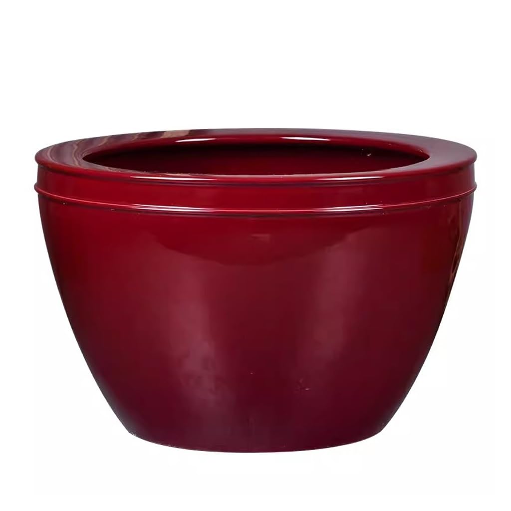 Tanque Peces Acuario Patio al Aire Libre, jardín, Lirio de Agua, Planta Loto, Lavabo, Sala Estar, Pasillo, decoración, pecera | 41cm