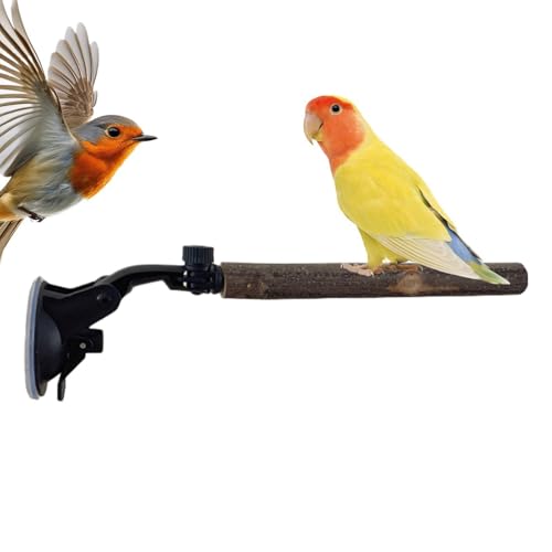 Window Perch for Birds, Interactive Suction Cup with Parrot Stand, 9.84x2.64in Training Toy, Movable Play with Bath Fun, Cage Fe