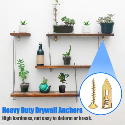 image for Bemaka 336Pcs Toggle Bolts Heavy Duty Drywall Anchors and Screws Assor