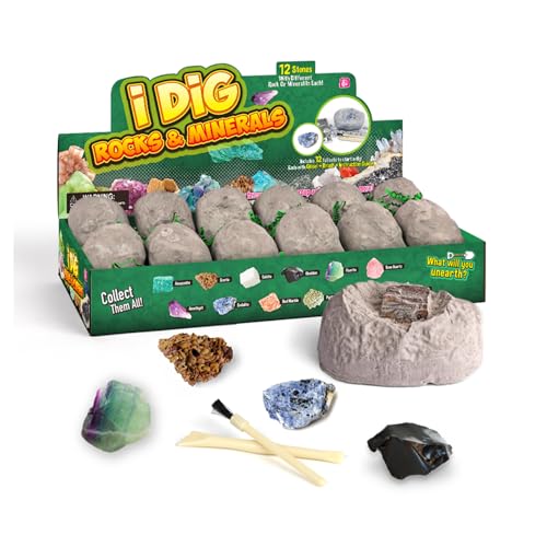 12 Natural Rock & Mineral Dig Kit STEM Toy for Kids Party Favors