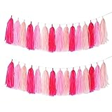 GAKA Hot Pink Light Pink Tissue Paper Tassels Garland Tassel Banner for Party Decorations,15 PC