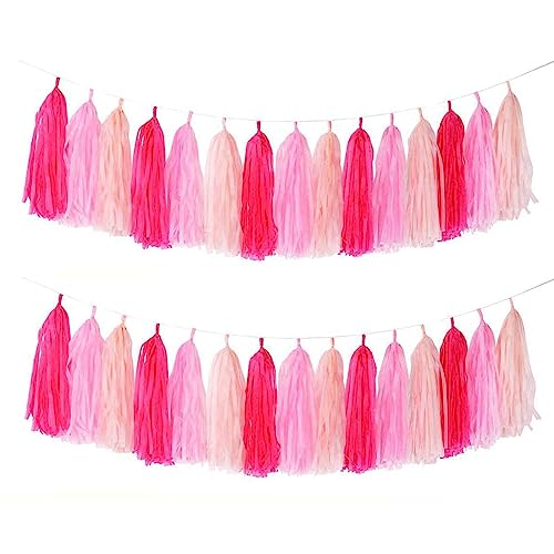 GAKA Hot Pink Light Pink Tissue Paper Tassels Garland Tassel Banner for Party Decorations,15 PC