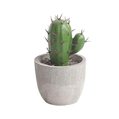 TOMHY Artificial Succulent Cactus Saguaro Lifelike Tropical Plant Potted Bonsai Decor : 6