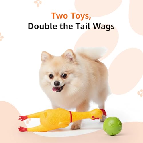 Image of Amazon Basics Interactive Dog Toy Combo | Squeaky Yellow Chicken & Rubber Ball | Latex Chew & Fetch | Non-Stuffed | for Puppies & Small Dogs