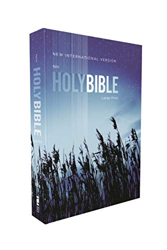 NIV, Outreach Bible, Large Print, Paperback