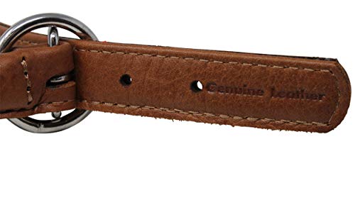 Genuine Leather Rolled Dog Collar 17.5"-21" Neck Size, Chow Chow, Collie, Labrador #TOP5